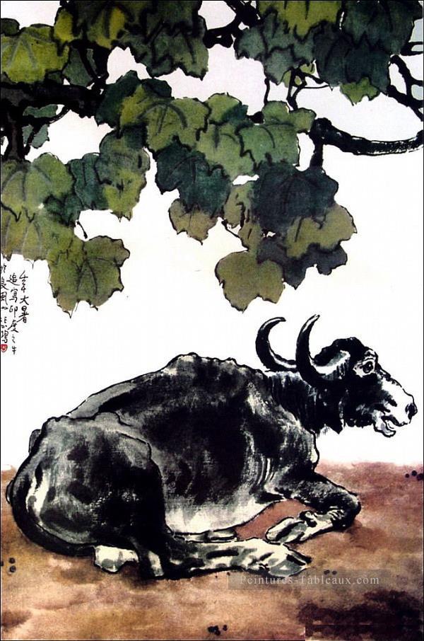 XU Beihong un bétail vieille Chine à l’encre Peintures à l'huile